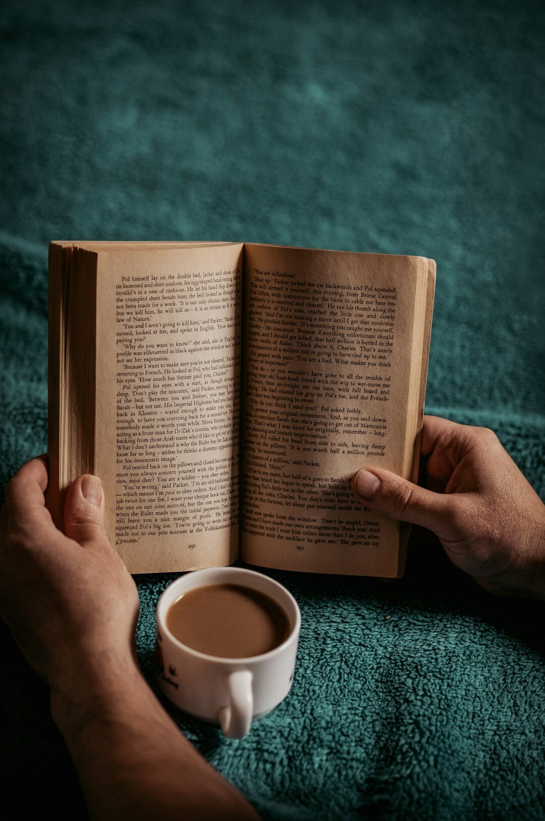 person reading mystery book