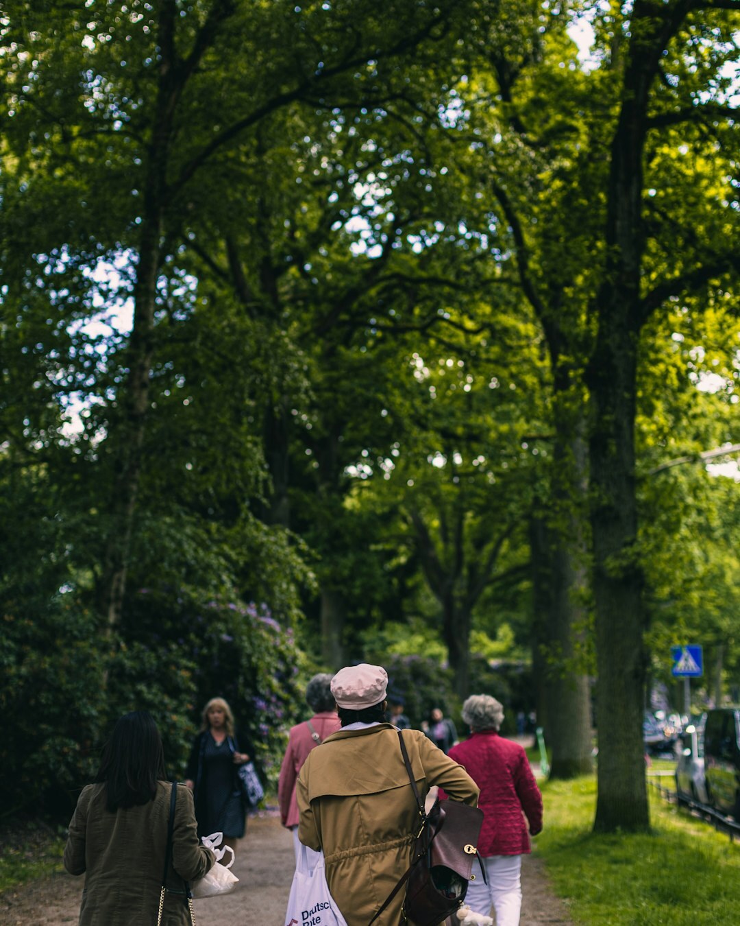 Group of senior citizens walking together in a park